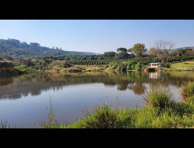 150HA FARM FOR SALE IN NELSPRUIT RURAL